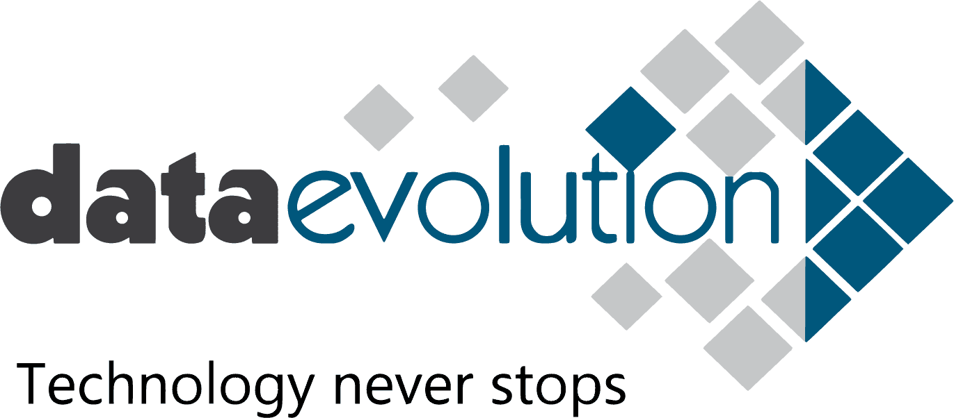 Logo Data Evolution