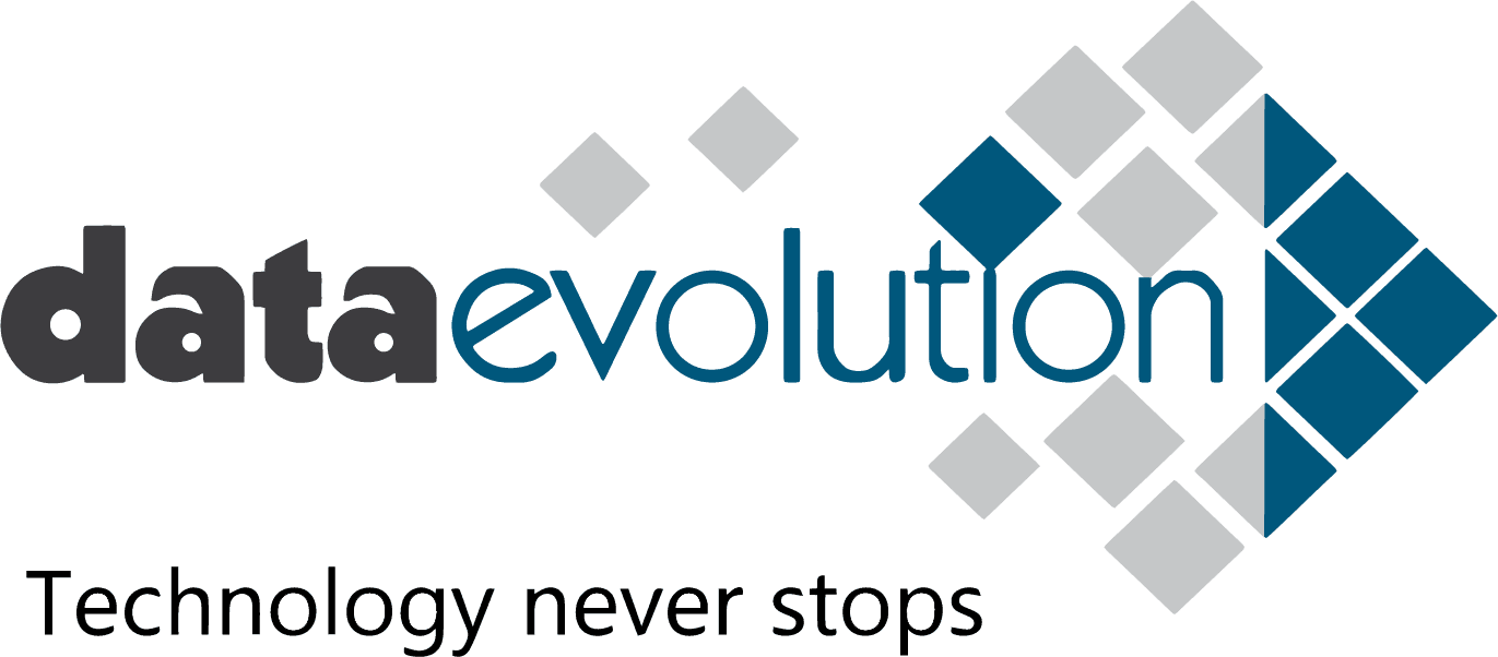 Logo Data Evolution